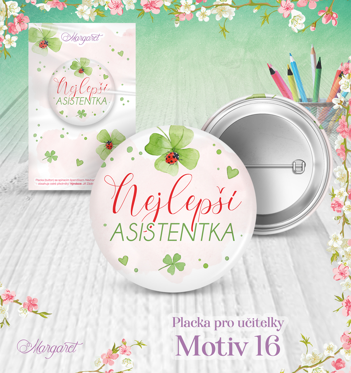 Placka – Pro učitelky | Motiv 16