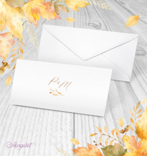 Obálka DL s potiskem | SK19