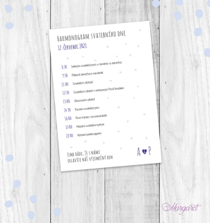Harmonogram | SK09